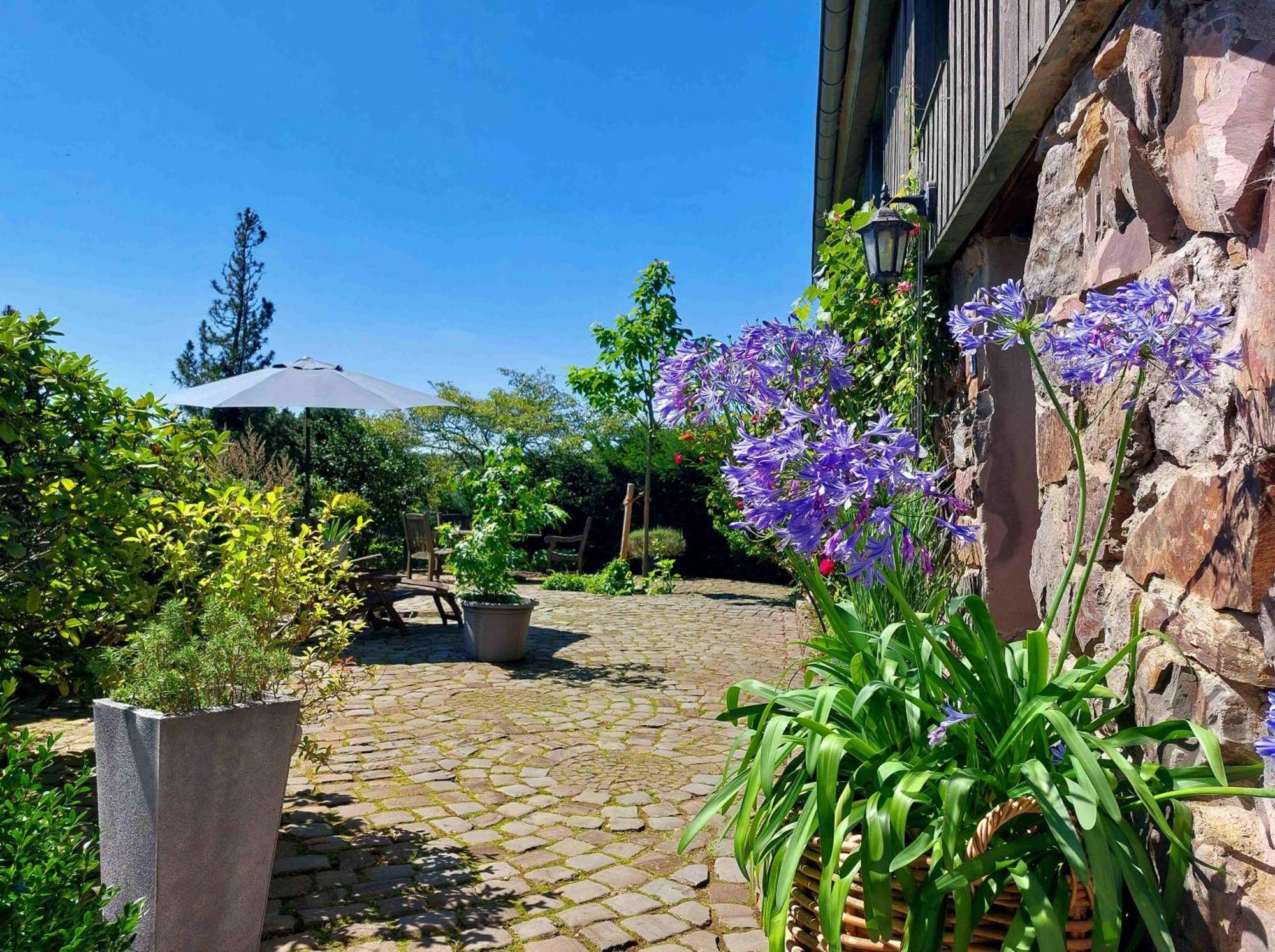 Kleines Haus Mitten In Der Natur Mit Eigener Terrasse Und Sonnenbalkon Halver 외부 사진